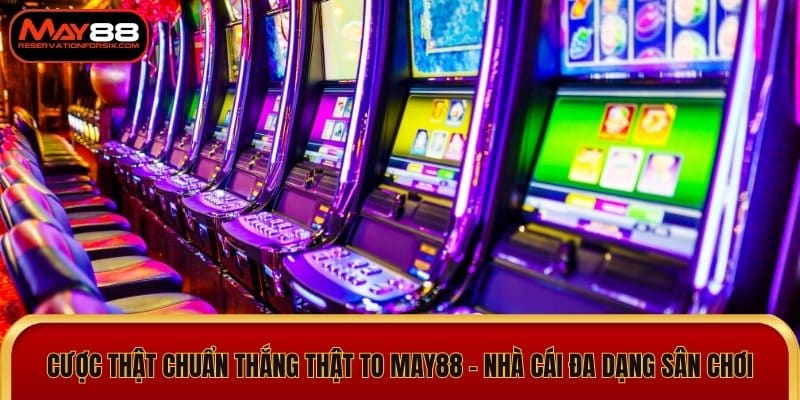 Cược thật chuẩn thắng thật to May88 - Nhà cái đa dạng sân chơi