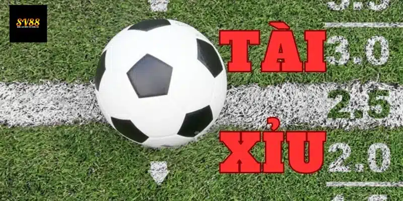 Tài xỉu bóng đá có những loại kèo nào hấp dẫn?